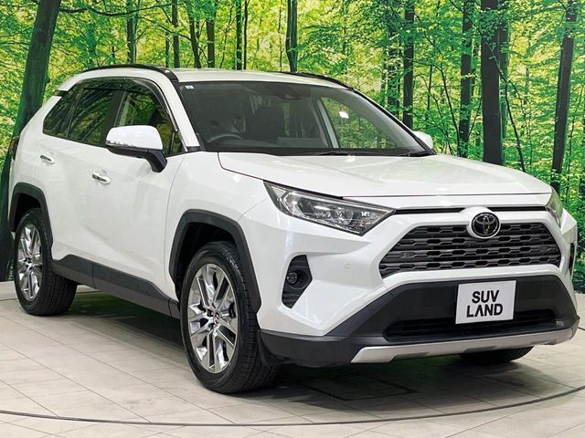 TOYOTA RAV4 4WD 2019 Image 31