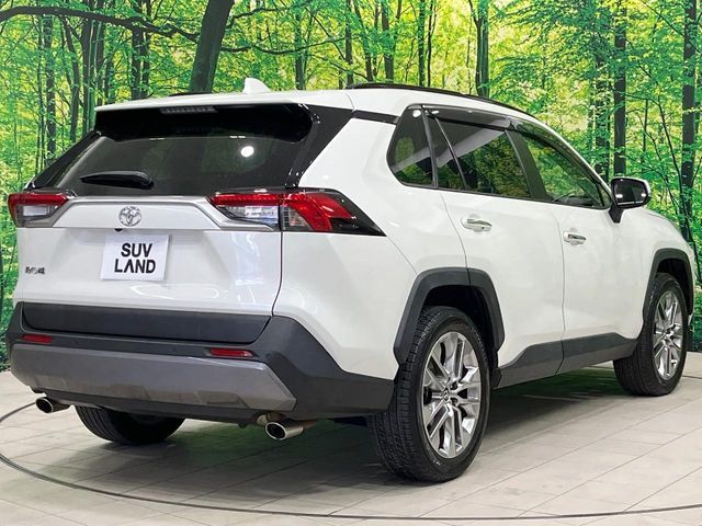 TOYOTA RAV4 4WD 2019 Image 31