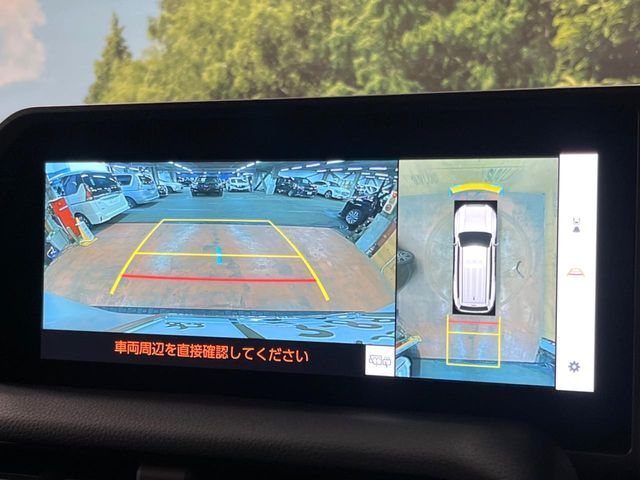 TOYOTA LANDCRUISER 250 2024 Image 31