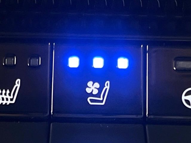 TOYOTA LANDCRUISER 250 2024 Image 31