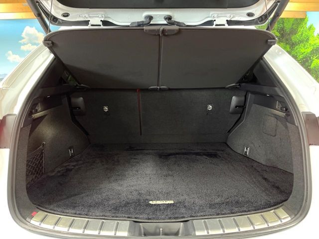 TOYOTA LEXUS NX450H+ AWD 2021 Image 31