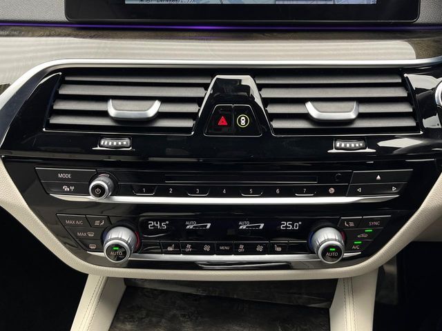 BMW 5SERIES SEDAN 2018 Image 31