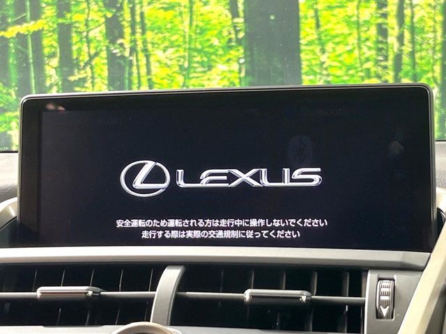 TOYOTA LEXUS NX300 2020 Image 31