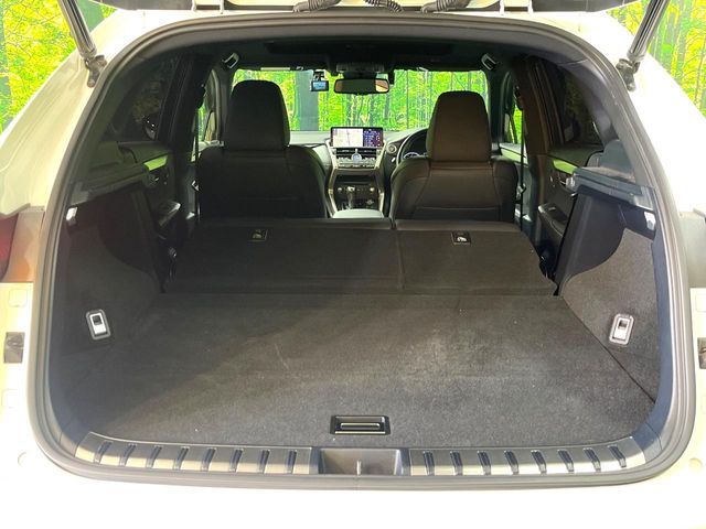 TOYOTA LEXUS NX300 2020 Image 31