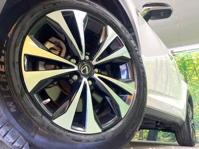 TOYOTA LEXUS NX300 2020 Image 31