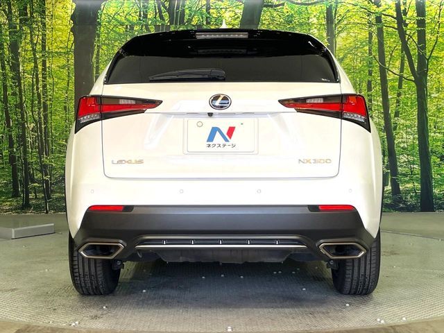 TOYOTA LEXUS NX300 2020 Image 31