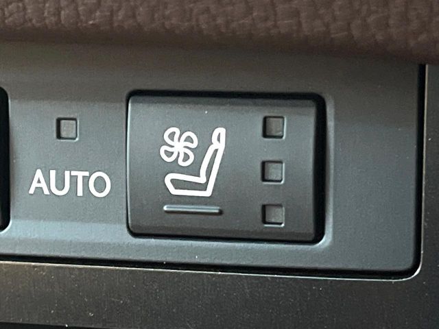 TOYOTA LEXUS ES300H 2019 Image 31