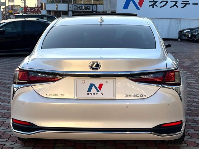 TOYOTA LEXUS ES300H 2019 Image 31