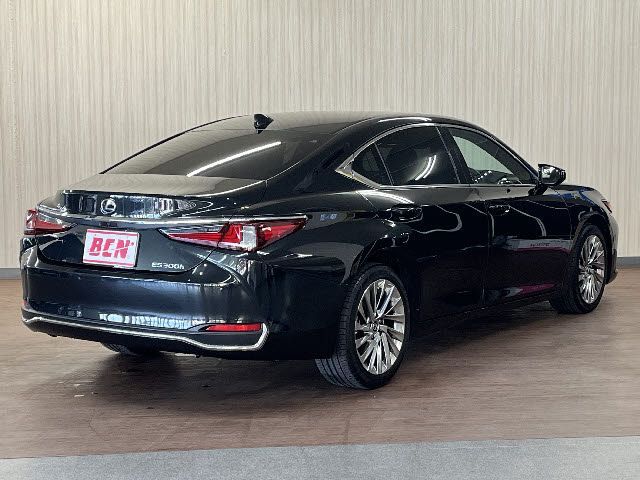 TOYOTA LEXUS ES300H 2022 Image 31