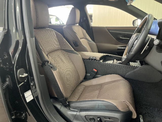 TOYOTA LEXUS ES300H 2022 Image 31