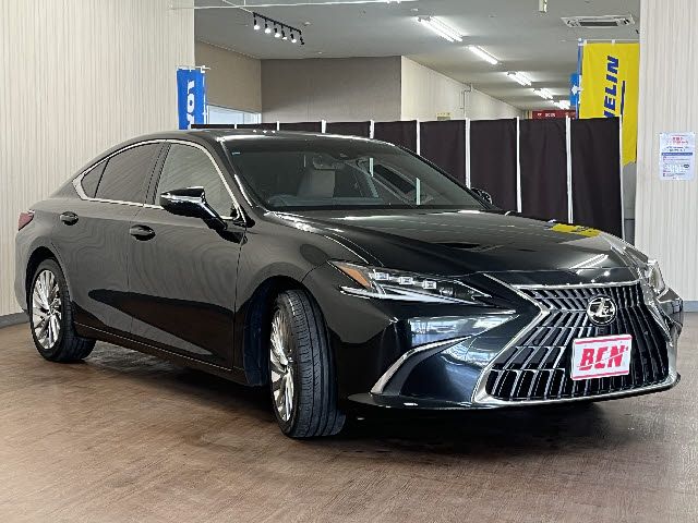 TOYOTA LEXUS ES300H 2022 Image 31