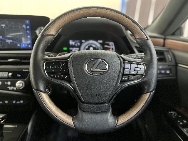 TOYOTA LEXUS ES300H 2022 Image 31