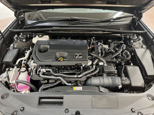 TOYOTA LEXUS ES300H 2022 Image 31