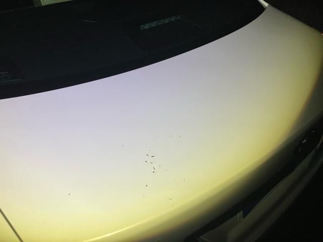 TOYOTA CROWN SEDAN 2017 Image 31