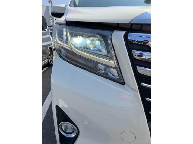 TOYOTA ALPHARD HYBRID 4WD 2016 Image 31