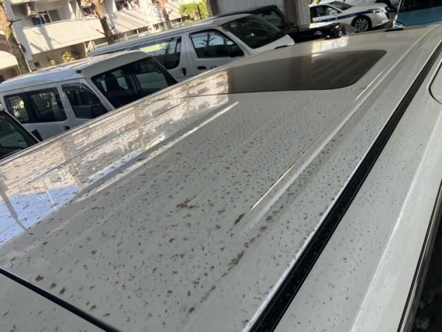 NISSAN ELGRAND 2012 Image 31