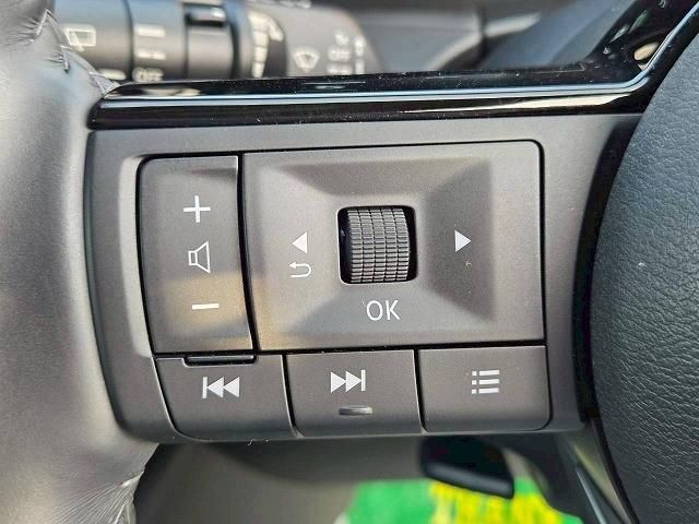 NISSAN SERENA  WG 2024 Image 31