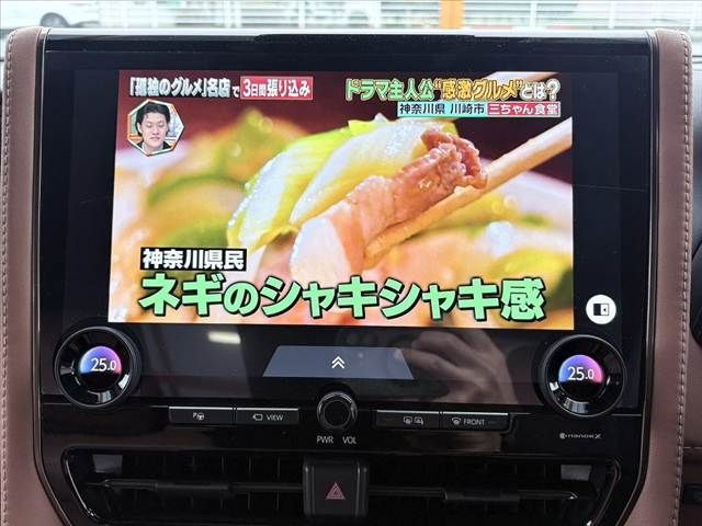 TOYOTA VELLFIRE 2025 Image 31