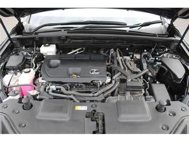TOYOTA LEXUS NX350H 2023 Image 31