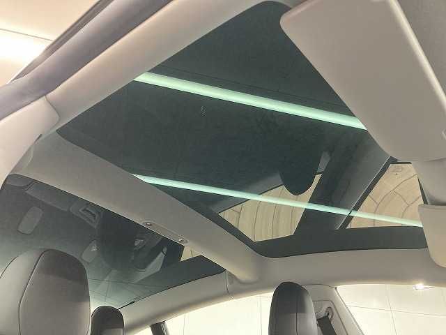 TESLA MODEL 3 2021 Image 31
