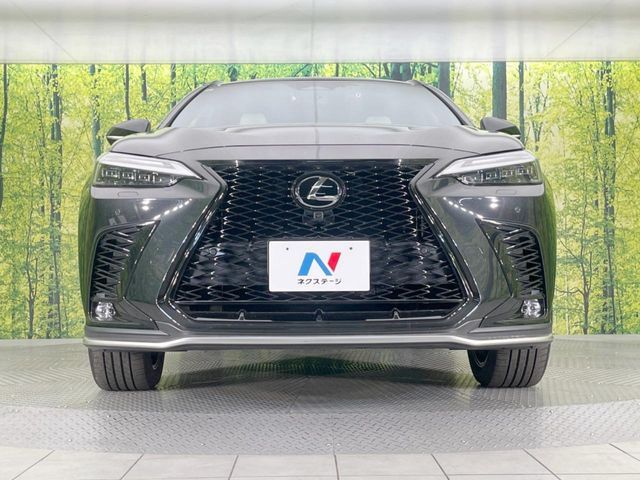 TOYOTA LEXUS NX350H AWD 2021 Image 31