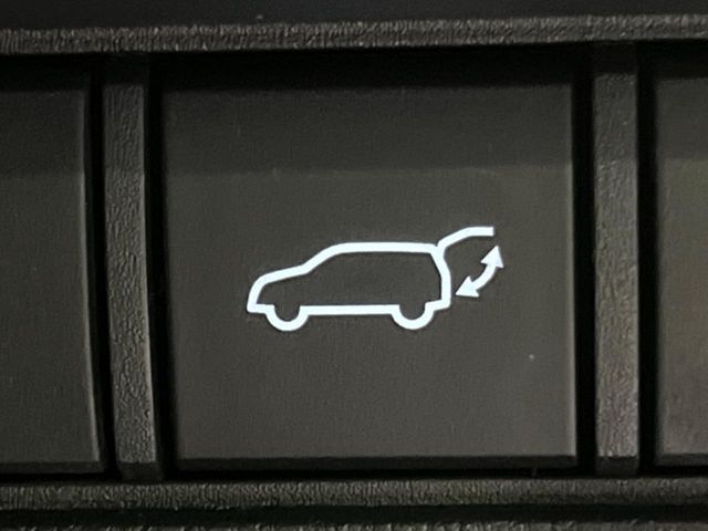 TOYOTA LANDCRUISER 250 2024 Image 31