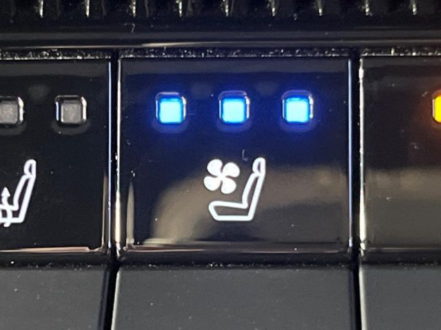 TOYOTA LANDCRUISER 250 2024 Image 31