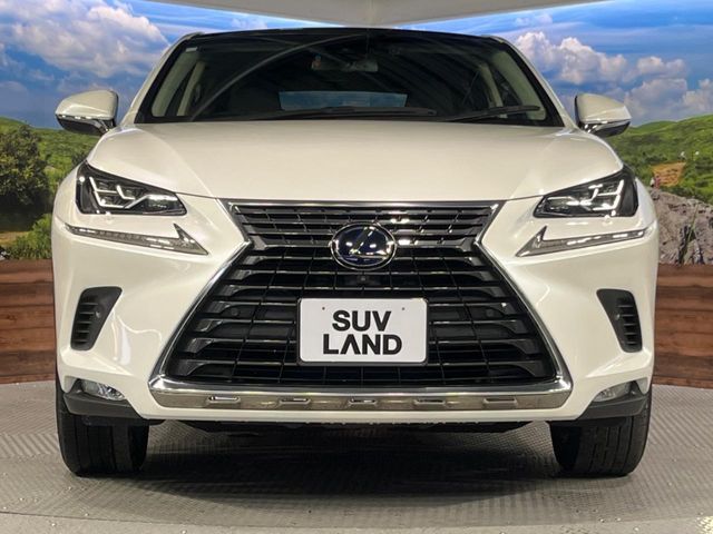 TOYOTA LEXUS NX300H 2019 Image 31