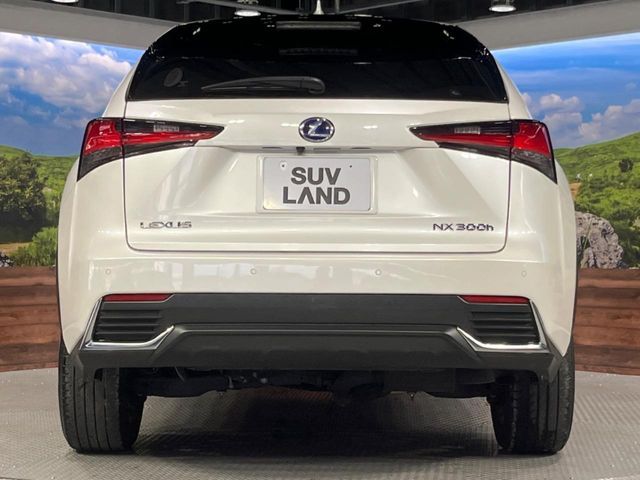 TOYOTA LEXUS NX300H 2019 Image 31