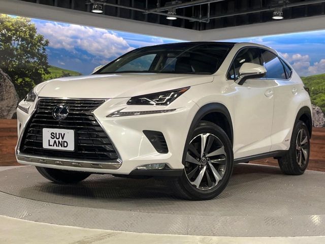 TOYOTA LEXUS NX300H 2019 Image 31