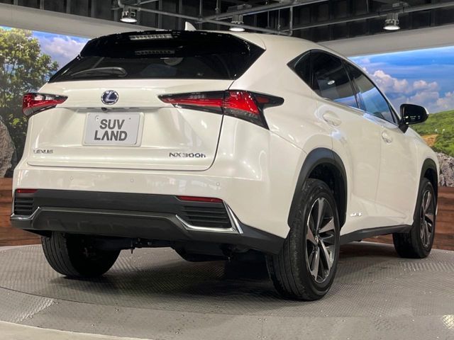 TOYOTA LEXUS NX300H 2019 Image 31