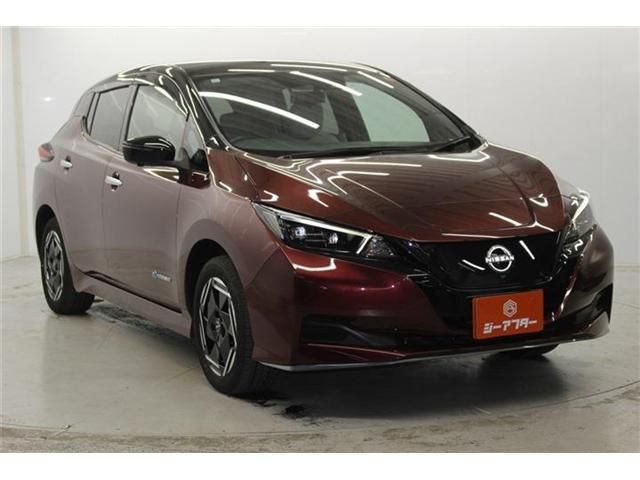 NISSAN LEAF 2022 Image 31