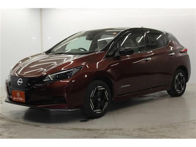 NISSAN LEAF 2022 Image 31