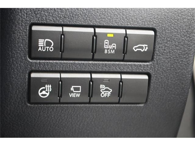 TOYOTA LEXUS NX300H AWD 2018 Image 31