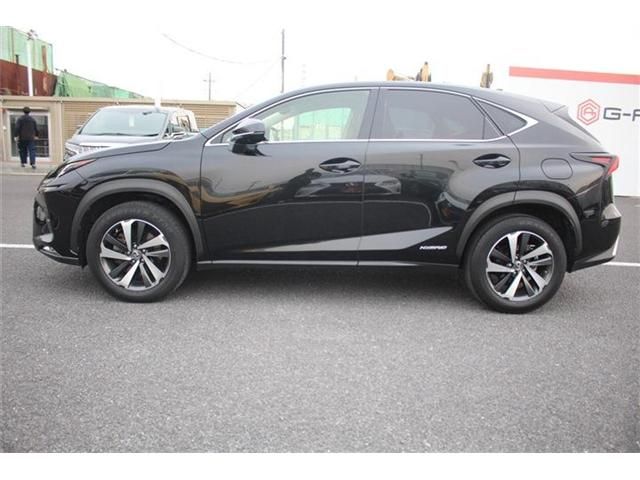 TOYOTA LEXUS NX300H AWD 2018 Image 31