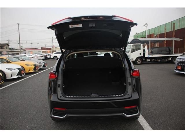 TOYOTA LEXUS NX300H AWD 2018 Image 31