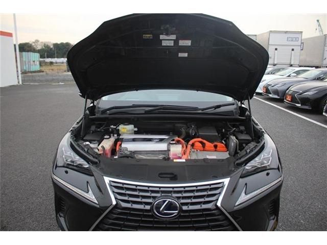 TOYOTA LEXUS NX300H AWD 2018 Image 31