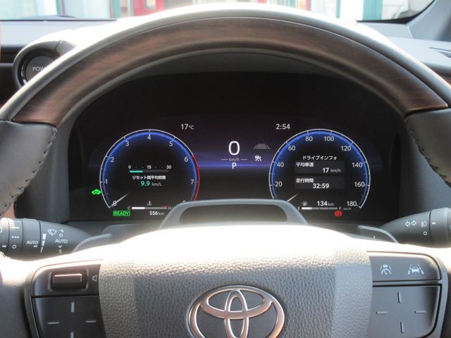 TOYOTA VELLFIRE  HYBRID 2025 Image 31