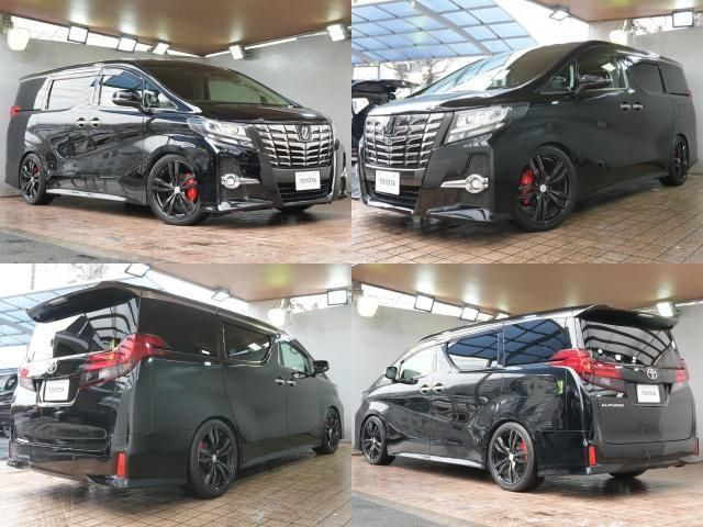 TOYOTA ALPHARD 2016 Image 31