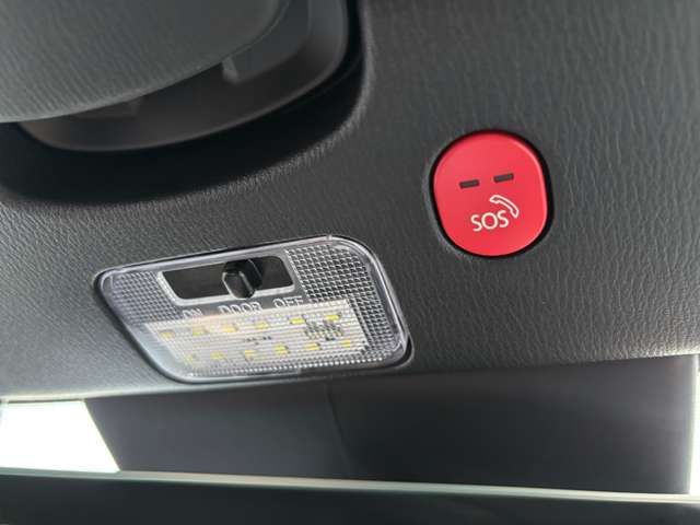 MAZDA ROADSTER 2024 Image 31