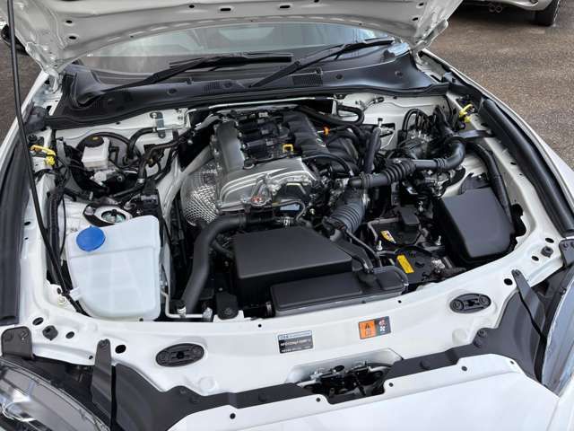 MAZDA ROADSTER 2024 Image 31