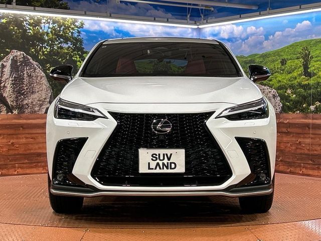 TOYOTA LEXUS NX350H 2022 Image 31