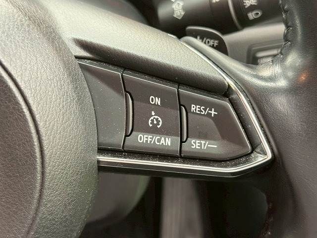 MAZDA AXELA SPORTS 2017 Image 31