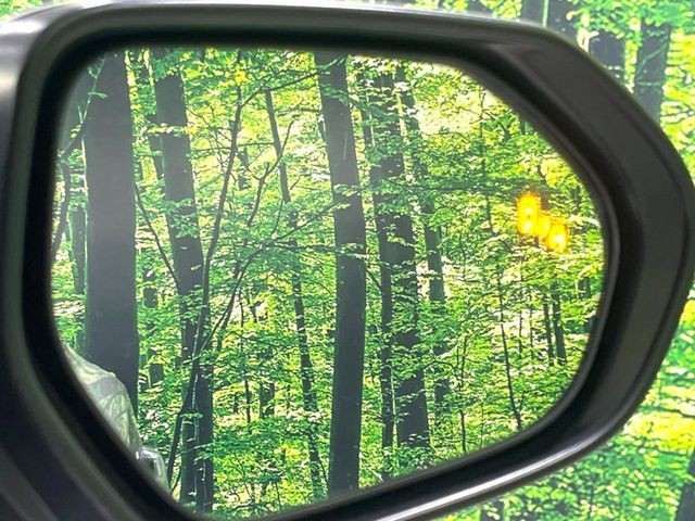 TOYOTA C-HR 2018 Image 31