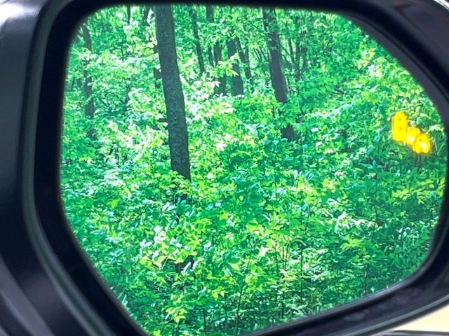 TOYOTA SIENTA HYBRID 2025 Image 31