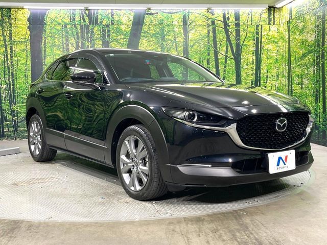 MAZDA CX-30 2021 Image 31