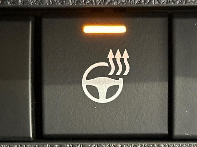 TOYOTA RAV4 4WD 2021 Image 31