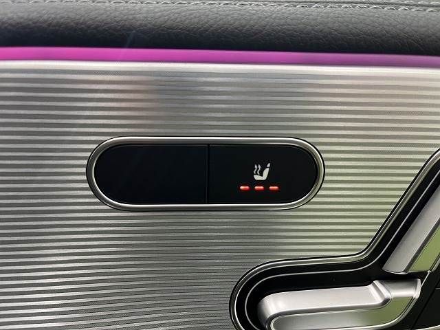 MERCEDES BENZ A CLAS 2019 Image 31