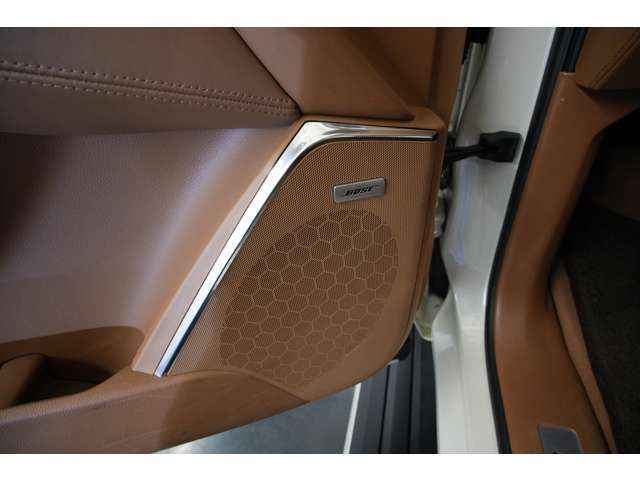 CADILLAC ESCALADE 2015 Image 31