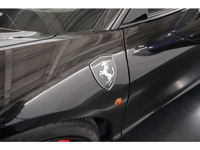 FERRARI 458 ITALIA 2010 Image 31